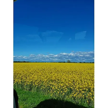 With 2 Bedrooms Ferienhaus *